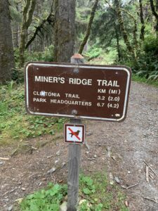Miner's Ridge Trail, Prairie Creek Redwoods State Park